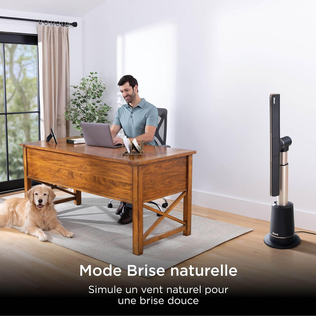 Mode Brise naturelle : simule un vent naturel