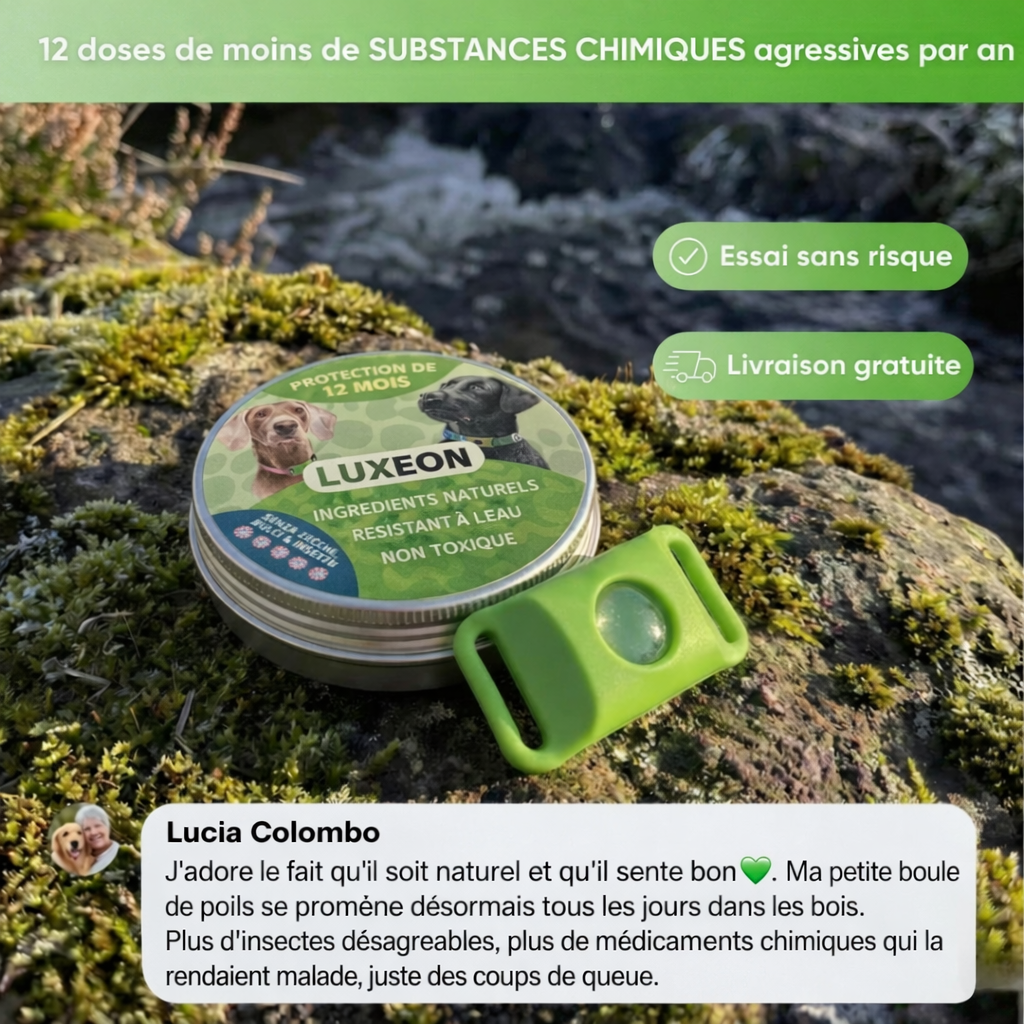 Pendant - 12 Months of Natural Protection for Dogs