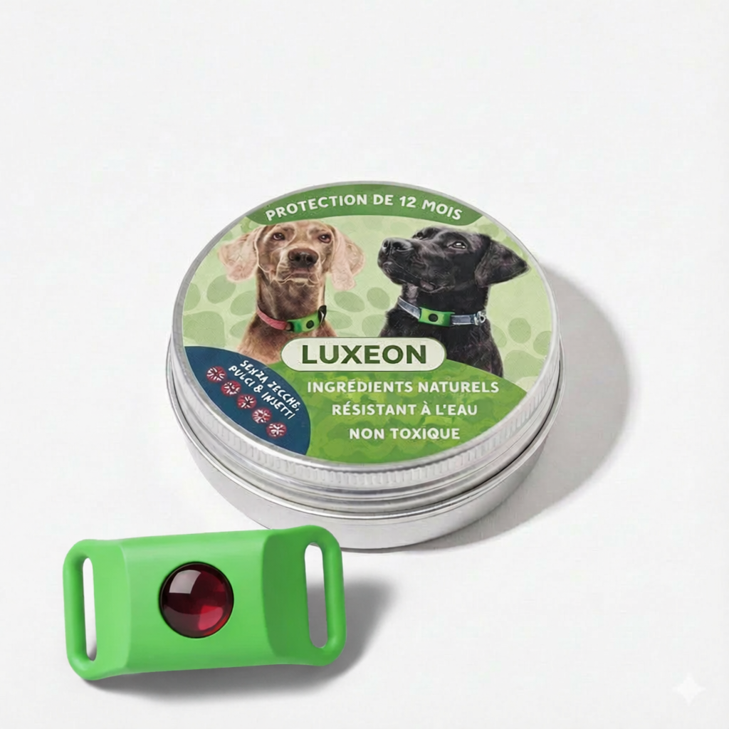 Pendant - 12 Months of Natural Protection for Dogs