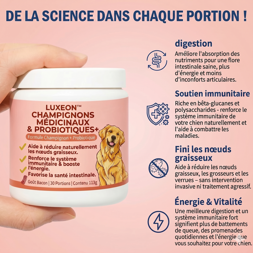 Champignon médicinal Turkey Tail + Probiotiques