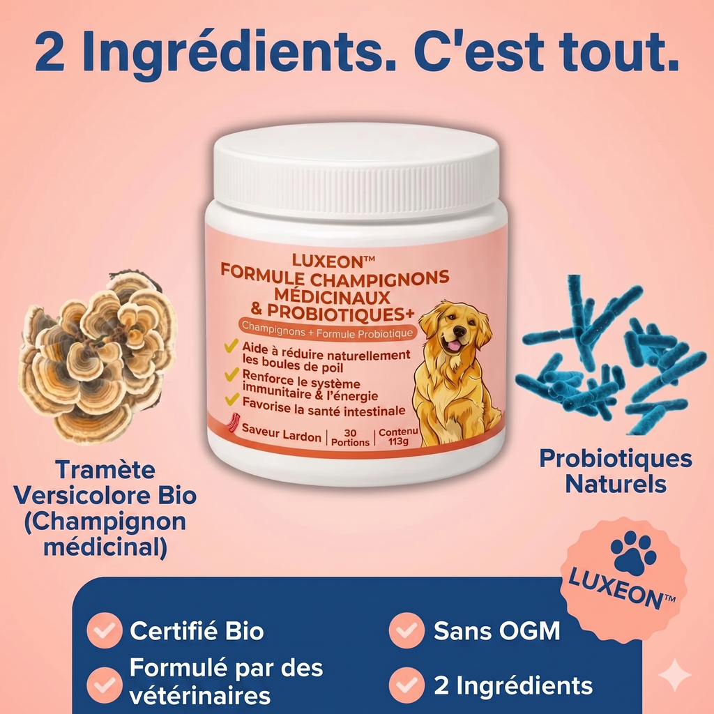 Champignon médicinal Turkey Tail + Probiotiques