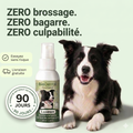 Zahnspray