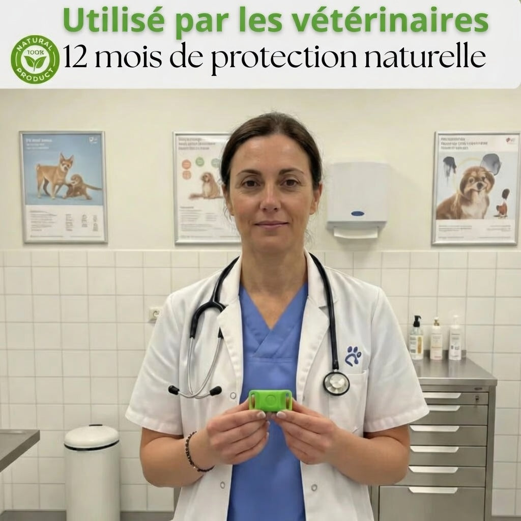 Pendant - 12 Months of Natural Protection for Dogs