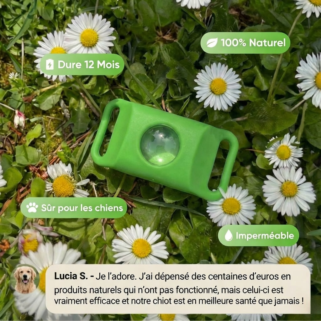 Pendant - 12 Months of Natural Protection for Dogs