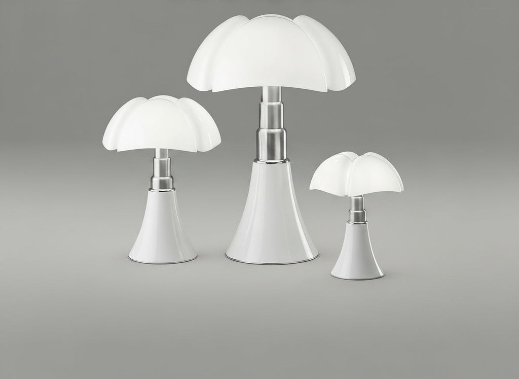 Comparatif des 3 tailles : Grande, Medium et Mini