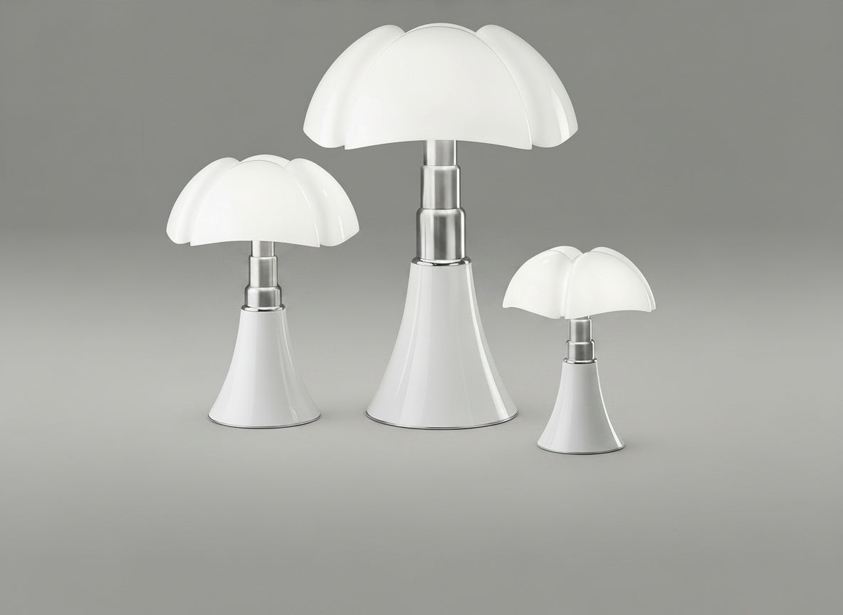 Comparatif des 3 tailles : Grande, Medium et Mini